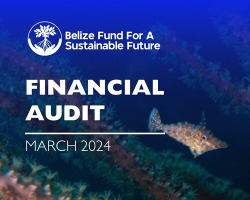 Financial Audit – March 2024