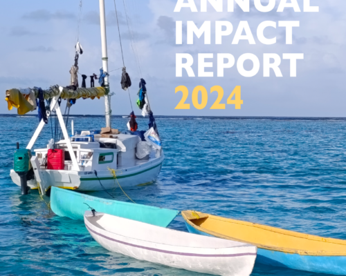 Annual Impact Report 2024