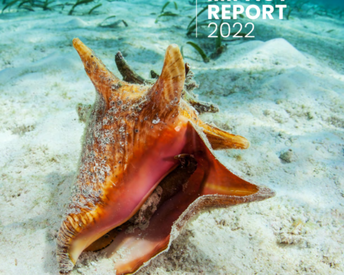 Annual Impact Report 2022